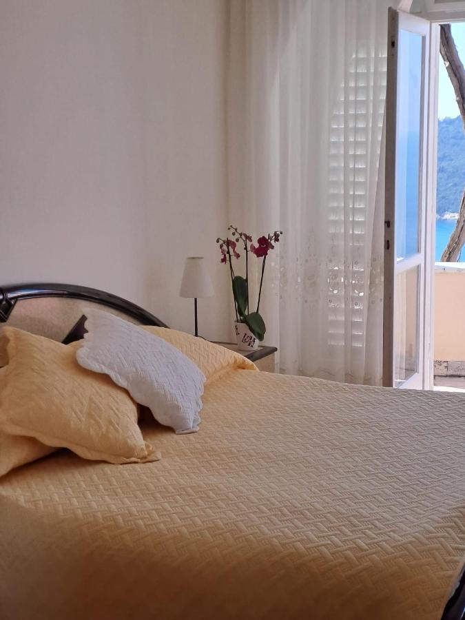 Amazing Dubrovnik & Sea View Room المظهر الخارجي الصورة